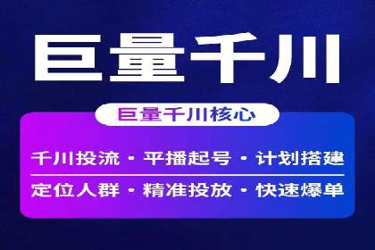 揭秘SEM竞价成功案例，助你提升ROI